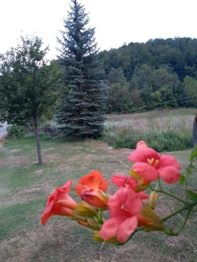 Apartman Sveti Rok Esterno foto